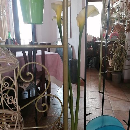 B&B Casacori Orosei Bagian luar foto