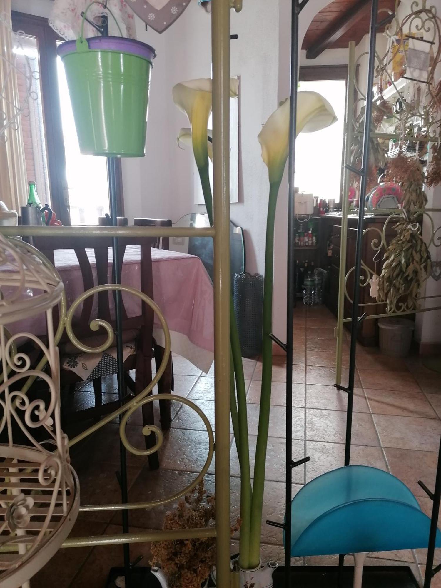 B&B Casacori Orosei Bagian luar foto