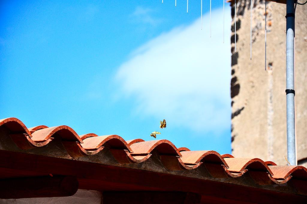 B&B Casacori Orosei Bagian luar foto